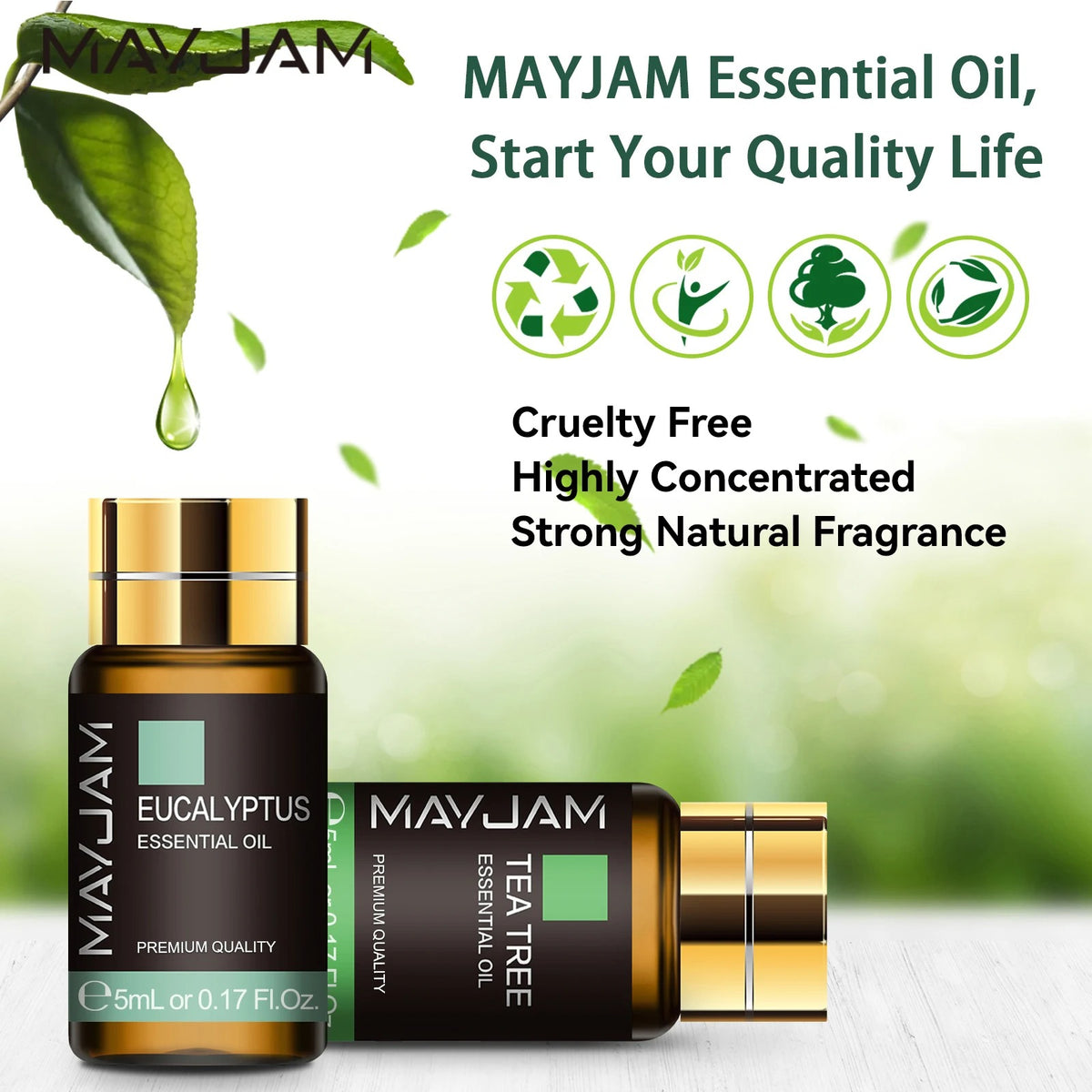Shiva™ 20pcs Natural Essential Oils Gift Set