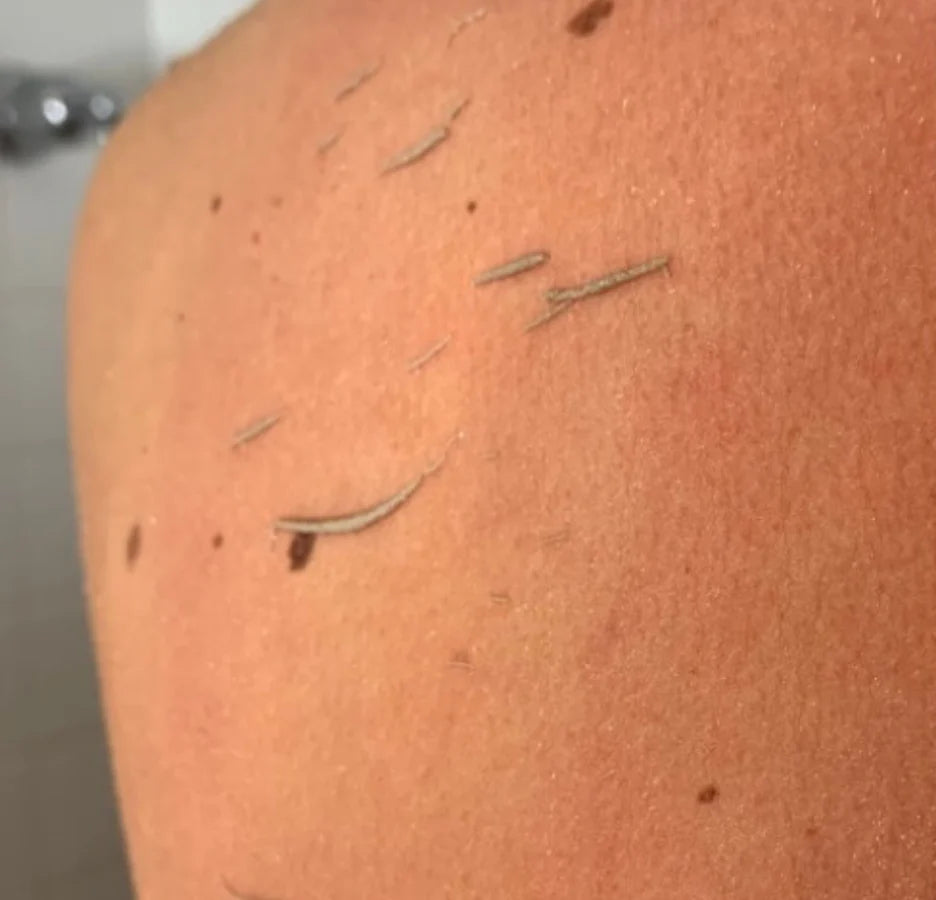 Shiva™ Soft Scrub Bundel